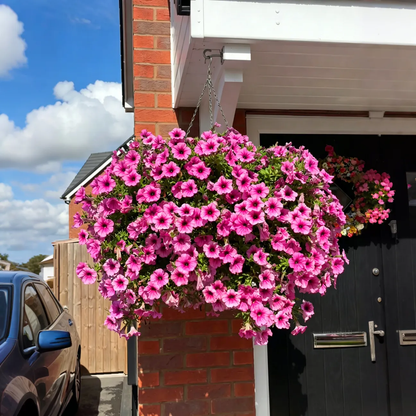 💐2026 Spring Hot Sale🔥UV Resistant Artificial Petunias Flowers
